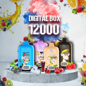 RandM Digital Box 12000 Puffs - Eu vape wholesale