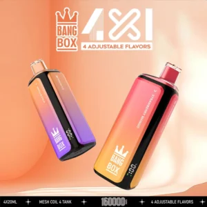 Bang Box 160000 Puffs 4-in-1 Flavors - Eu vape wholesale