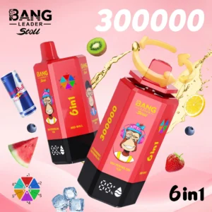 Bang Leader 300,000-puff - Eu vape wholesale