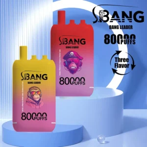 Bang Leader 80,000 puffs - Eu vape wholesale