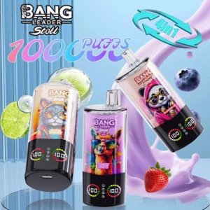 Bang Leader Stoll 100K Puffs Vape - Eu vape wholesale