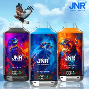 JNR Falcon X 18000 Puffs - Eu vape wholesale