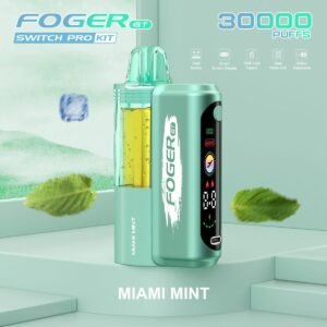 Forger Gt switch Pro Kit – 30k Puffs Vape - Eu vape